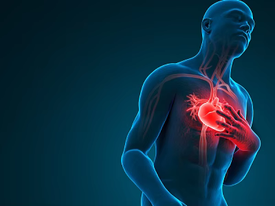 Advanced Medical Device for 3D Heart Visualization and Cardiac Health Monitoring 3d model