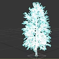 Single Tall Leafless Tree With Clear Bare Branches Against White Background