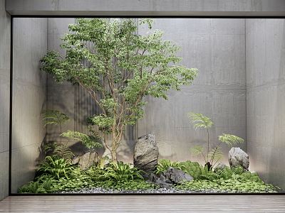 Modern landscape sketch courtyard landscape sketch plant landscape stone rockery bryophytes ferns model