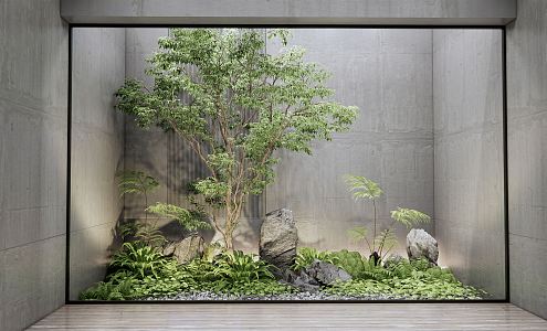 Modern landscape sketch courtyard landscape sketch plant landscape stone rockery bryophytes ferns 3d model