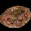 Abalone Shell Displaying Vibrant Interior With Natural Iridescent Texture And Patterns