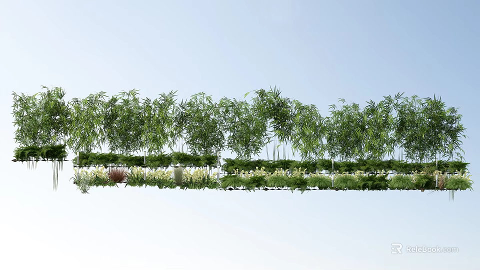 Lush Green Bamboo Plants In Outdoor Garden With Sky Background And Foliage 3d model 
