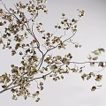 Crumpled Knitted Fabric Vases With Dried Branches And Small Leaves For Minimalist Home Decor