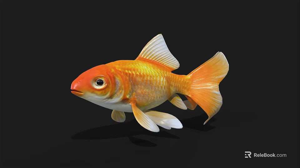 Bright Orange Goldfish As Aquatic Animal With Shiny Scales White Fins And Tail 3d model 
