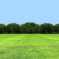Vast Open Green Grassland With Lush Trees Under Clear Blue Sky 3d model