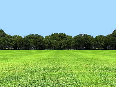 Vast Open Green Grassland With Lush Trees Under Clear Blue Sky 3d model