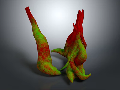 Wood Stone Abstract Sculpture with Irregular Shape and Vibrant Red Green Colors 3d model