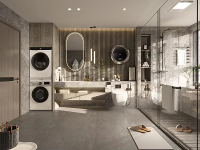 Modern Bathroom Interior Design With Washer Dryer Mirrors Vanity Toilet And Shower Area 3d model