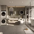 Modern Bathroom Interior Design With Washer Dryer Mirrors Vanity Toilet And Shower Area