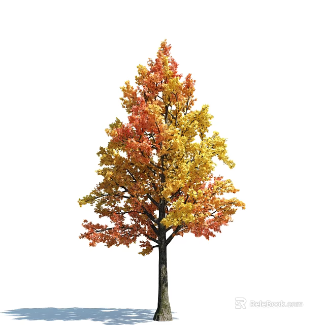 Autumn Arbor With Vibrant Orange Yellow And Red Foliage In Lush Growth 3d model 