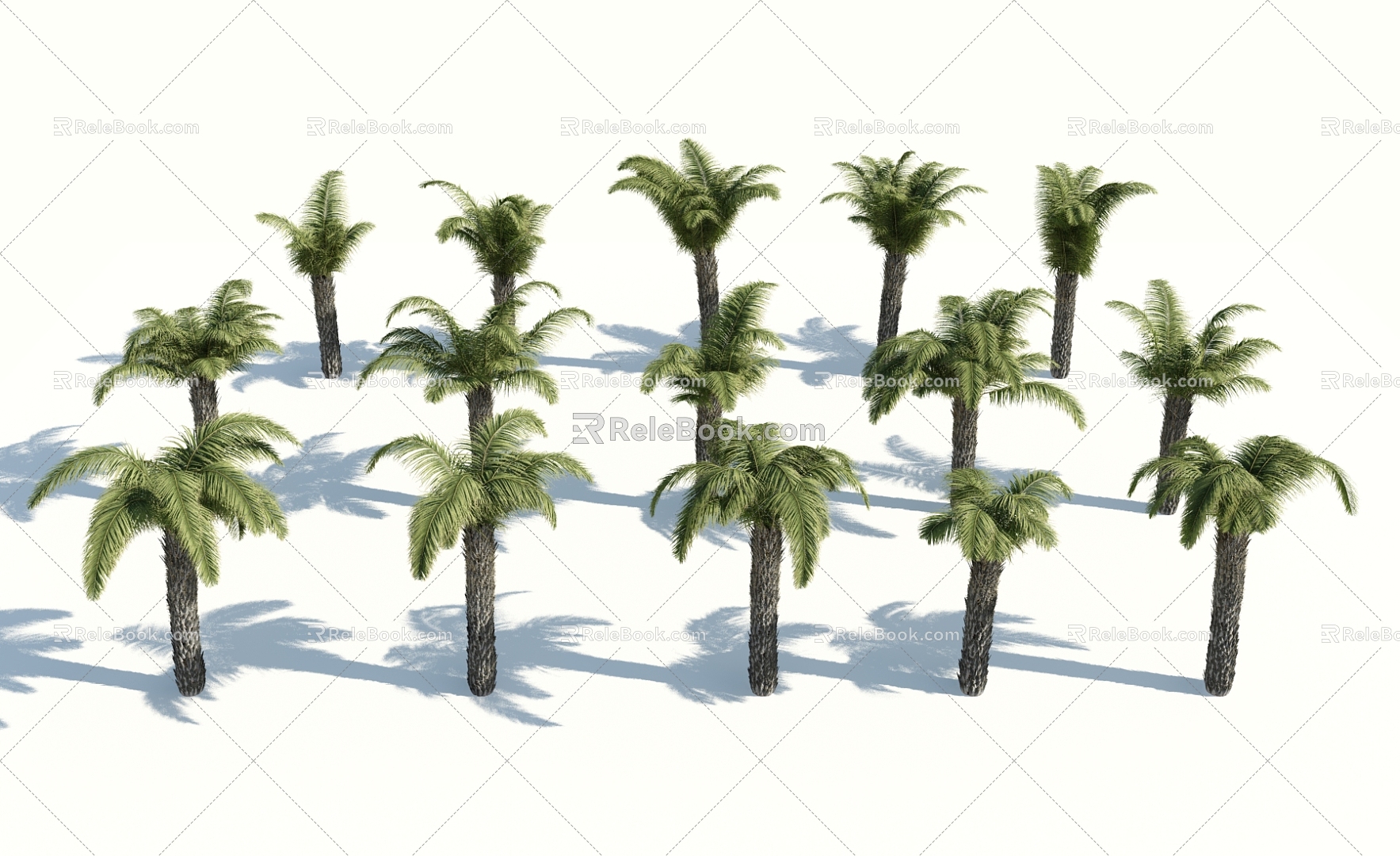 Modern Palm Tree 3d model