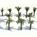 Modern Palm Tree 3d model