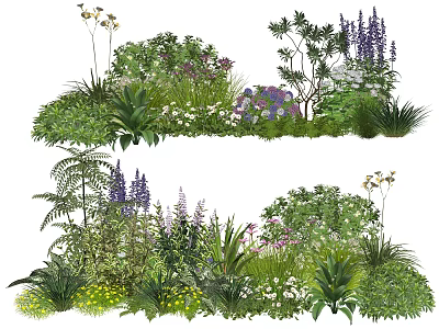 Diverse Garden Plant Combination With Ferns Purple Flowers And Green Foliage 3d model