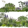 Diverse Garden Plant Combination With Ferns Purple Flowers And Green Foliage