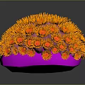 Bright Orange Aquatic Coral with Pink Base and Spherical Flower Shaped Form