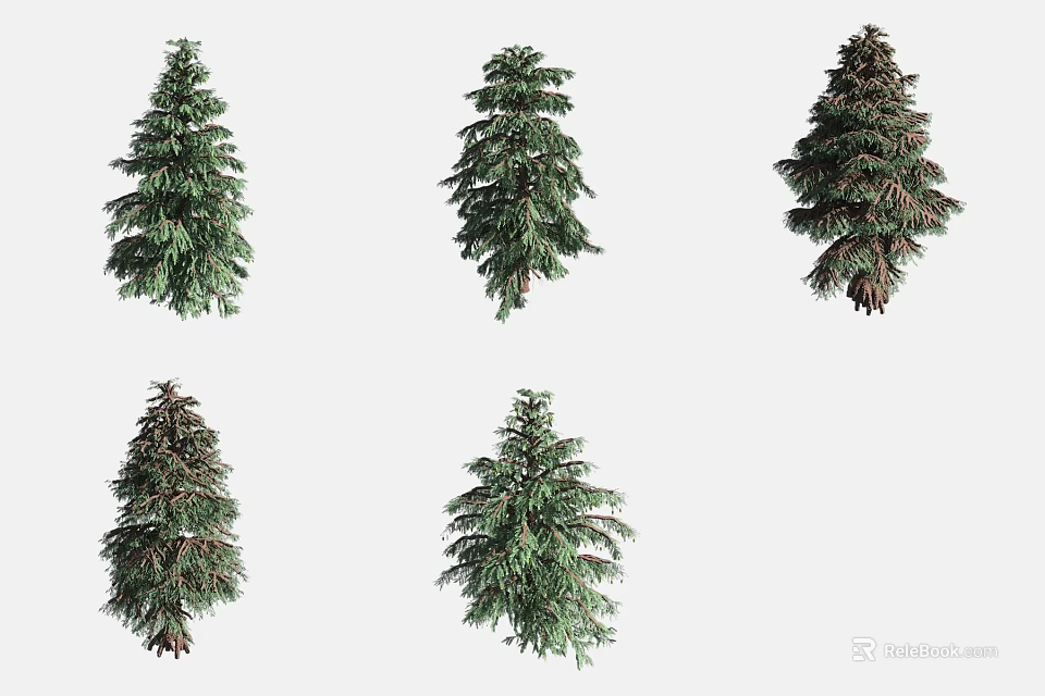 Different Types of Evergreen Arbor With Various Shapes And Lush Green Foliage 3d model 