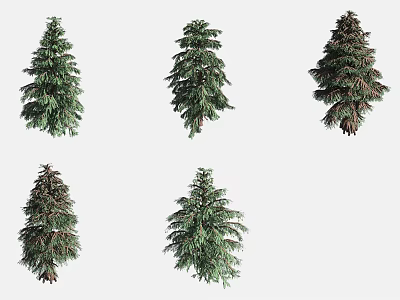Different Types of Evergreen Arbor With Various Shapes And Lush Green Foliage 3d model