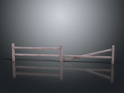 Rustic Scenery With Upright And Leaning Wooden Fences On Gray Background With Reflection 3d model