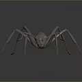Detailed 3D Model of Metallic Ant with Shiny Exoskeleton and Long Legs on Dark Background