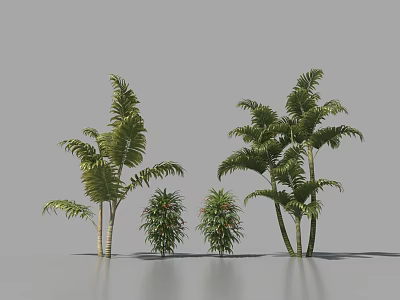 Shrubs And Palm Trees In Green Leafy Plant Arrangement 3d model
