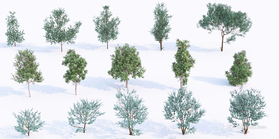 Diverse Arbor Trees with Various Foliage Shapes and Natural Growth Patterns 3d model
