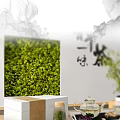 Ornamental Decor Set with Green Moss Calligraphy Tea Set on White Display Stand