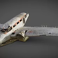 Modern Plane Crash Scan 3d model