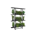 Bonsai Potted Plants Displayed On Black Multi Tiered Shelves For Indoor Decor