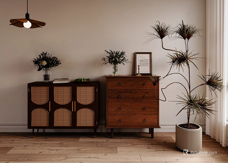 Vintage Wooden Entryway Cabinet And Side Cabinet With Rattan Doors Picture Frame And Plants 3d model 