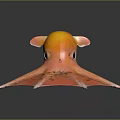 Orange and Pink Octopus Like Creature With Large Eye And Wing Shaped Tentacles