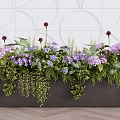 Indoor Plant Arrangement With Purple Flowers Green Leaves Hanging Plants And White Tiled Wall
