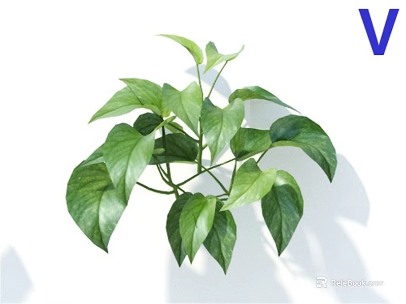 Fresh Lush Green Leafy Plants With Vibrant Healthy Leaves On White Background 3d model 