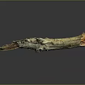 Natural Wooden Stone Log Piece With Rustic Texture And Weathered Surface