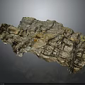 Natural Wood And Stone Fusion With Intricate Grain And Textured Surface For Decor