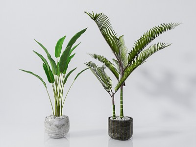 modern potted plant green plant potted plant 3d model