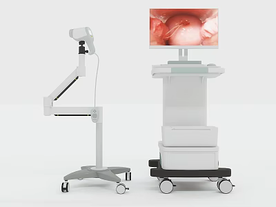 Medical Diagnostic Equipment With Display Screen Showing Internal Organ Image And Mobile Stand 3d model