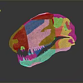 Orange Brown Dinosaur Skull Fossil With Sharp Teeth And Textured Surface 3d model