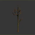 Leafless Tree With Trunk And Branches Featuring Green And Orange Texture Against Gray Gradient Background