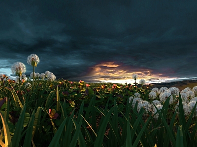 Dandelion Plants Flowers Grasses Sunset West Plants Small Scenery Everywhere Dandelion Dancing Beautiful Small Scenery Grassland Plants Growth Petals 3d model