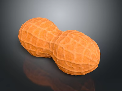 Whole Shelled Peanut Plant Seed With Orange Textured Surface On Dark Background And Reflection 3d model
