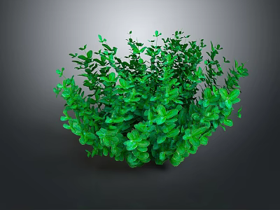 Lush Green Plant With Dense Leaves And Vigorous Growth Features 3d model