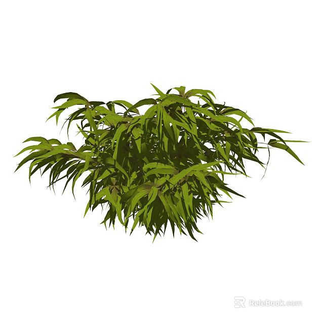 Lush Green Shrub With Slender Leaves And Natural Growth Appearance 3d model 
