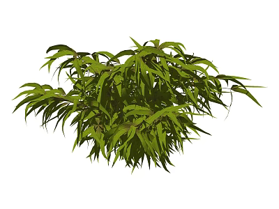 Lush Green Shrub With Slender Leaves And Natural Growth Appearance 3d model