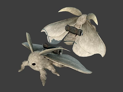 Modern Moth Giant Moth 3d model