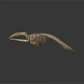 Detailed Marine Animal Skeleton With Long Jaw And Vertebrae Structure On Dark Background