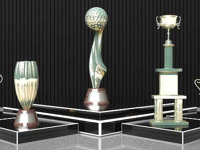 Diverse Designed Trophies Showcased On Modern Display Stands Against Black Background 3d model