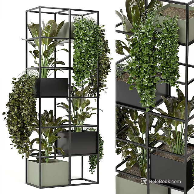 Lush Green Bonsai Potted Plants On Multi Tiered Rack With Hanging Trailing Foliage 3d model 