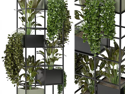 Lush Green Bonsai Potted Plants On Multi Tiered Rack With Hanging Trailing Foliage 3d model