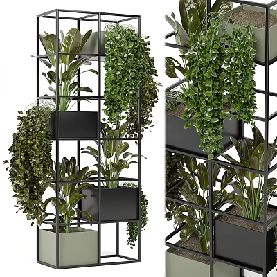 Lush Green Bonsai Potted Plants On Multi Tiered Rack With Hanging Trailing Foliage 3d model