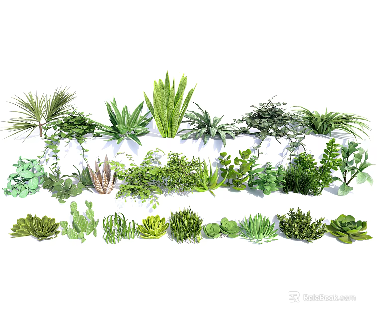 Diverse Flowers And Plants Collection With Succulents Ferns Palms For Garden Decoration 3d model 